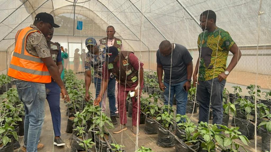 Enugu Govt. sets to launch 260 Smart Farm Estates – Commissioner