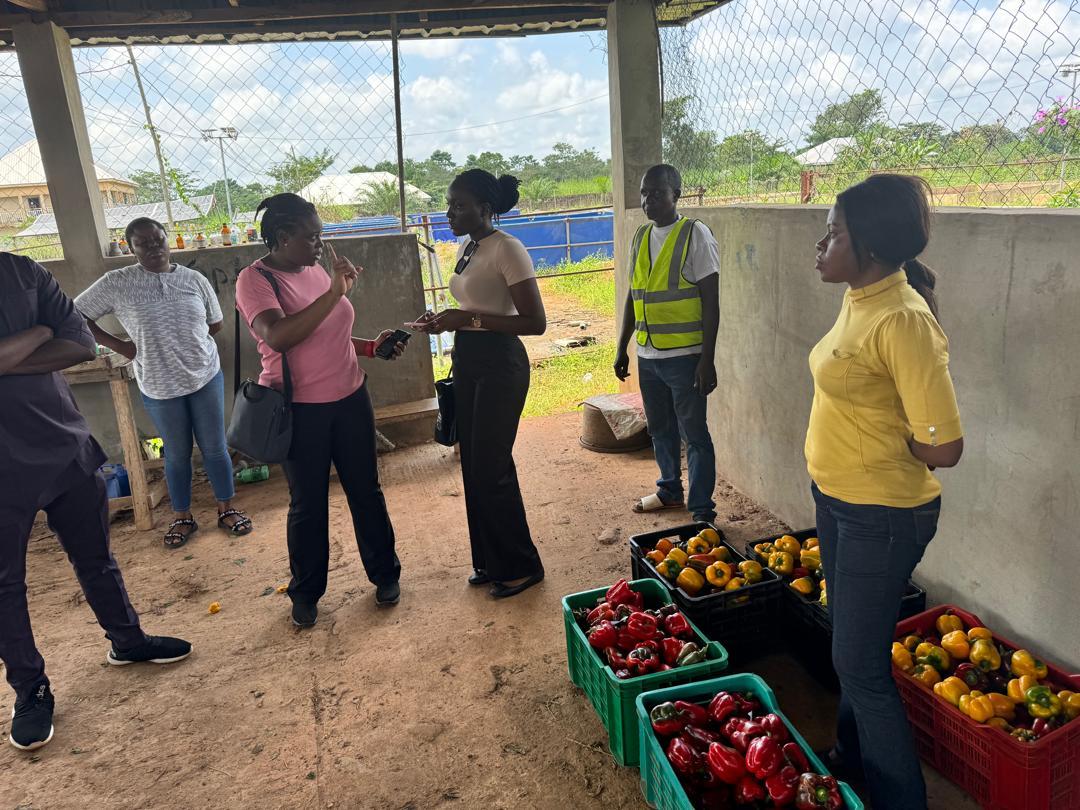 84eec23f-5a6d-4f1a-ac29-3fbdb35ee9e3