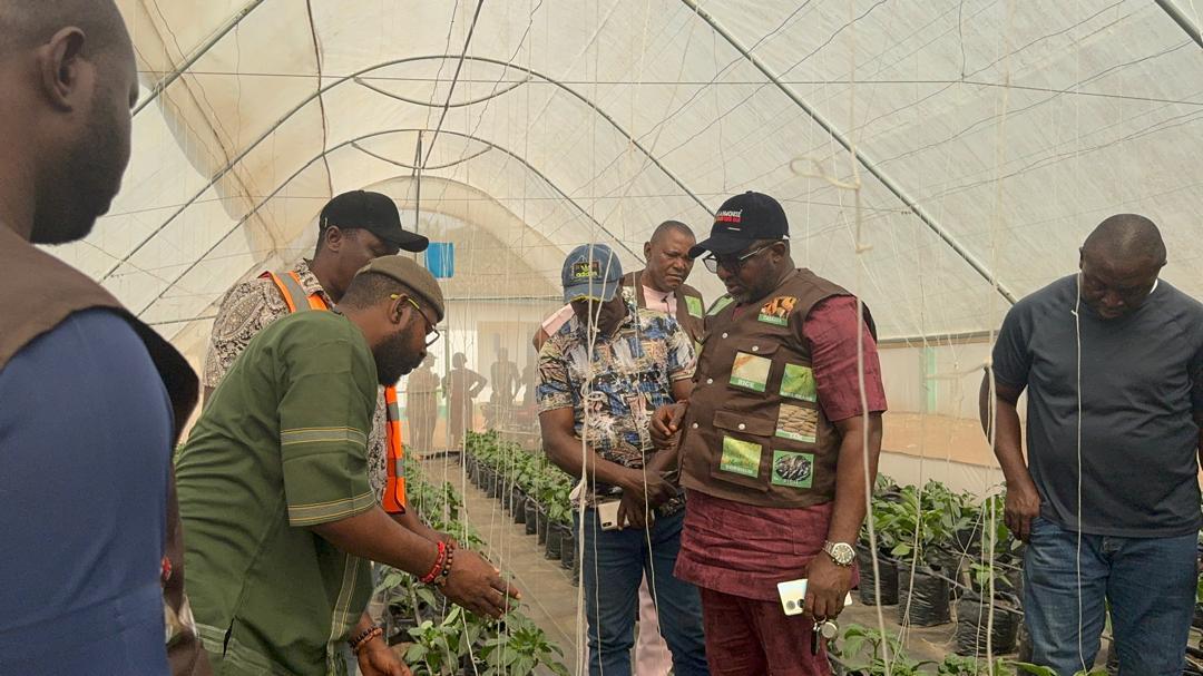 e0dfa7ce-d2c0-46c7-b2d7-179a3719586a