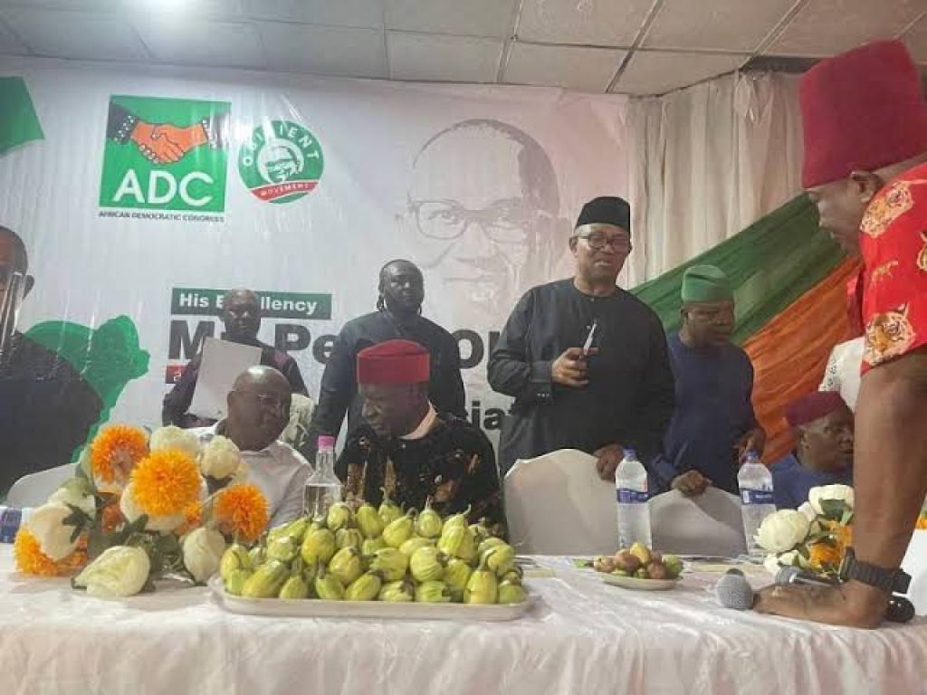 Peter Obi, other Igbo leaders join ADC in Enugu