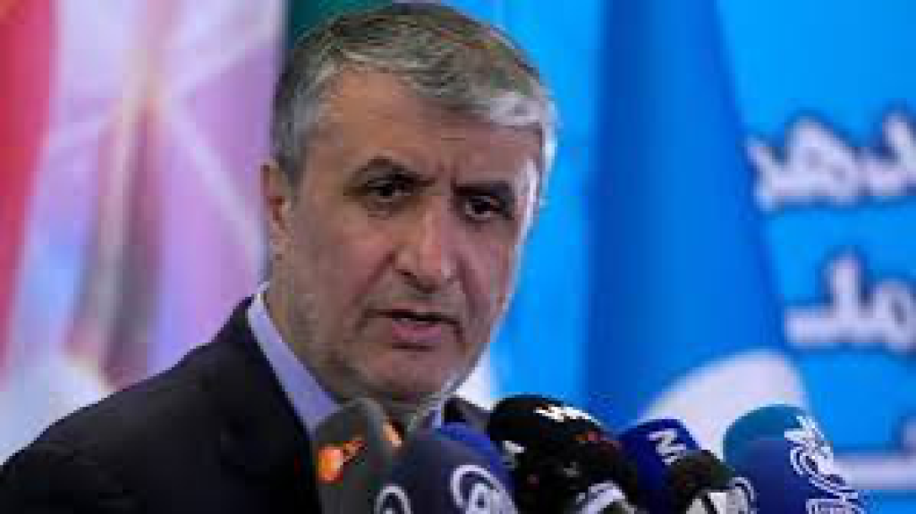 Iran’s atomic chief says nuclear activities won’t stop