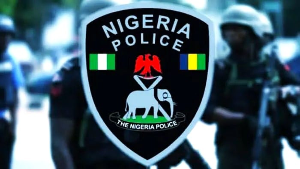 Police confirm killing of girl, 15, in Gombe