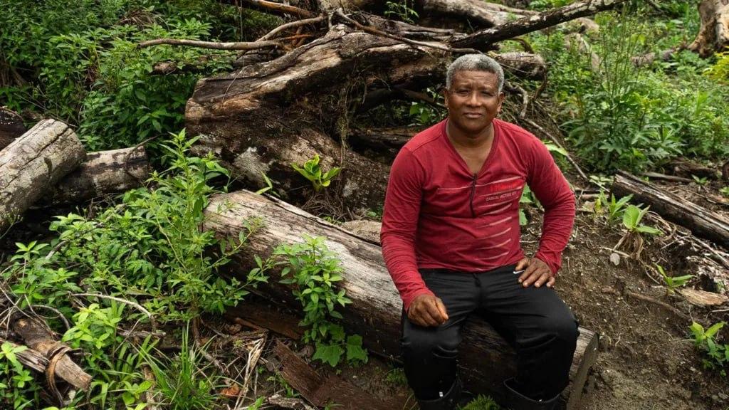 Amazon Deforestation for Climate Summit Sparks Backlash