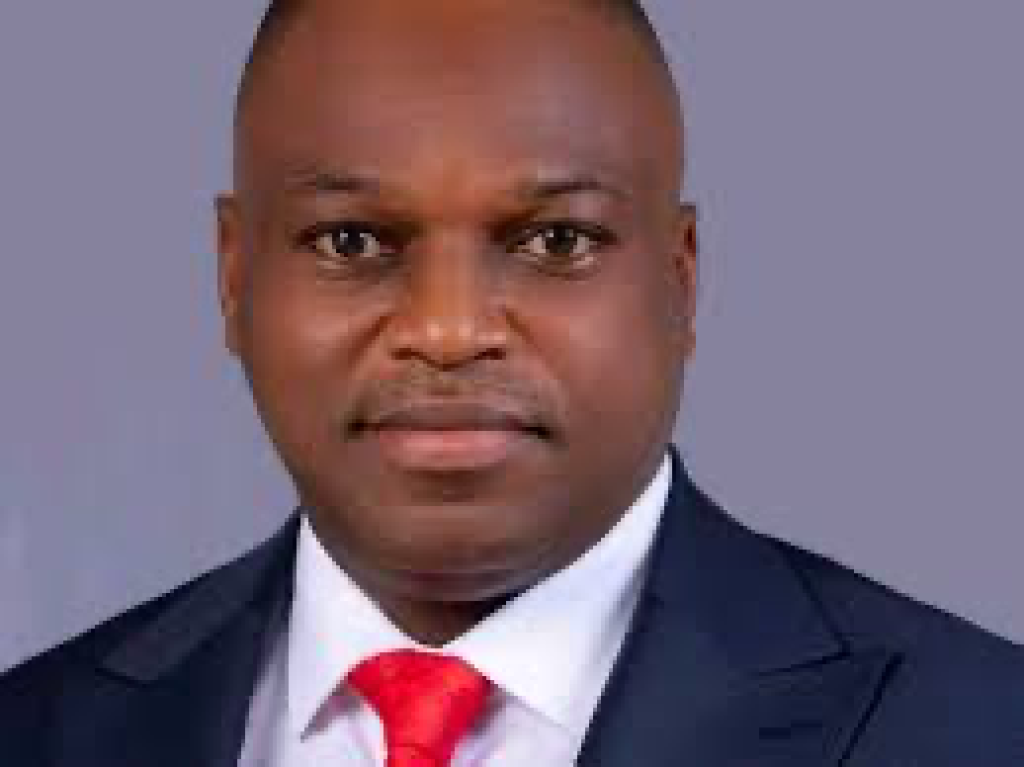 No recent mass killings, rape, arson in Eha-Amufu community-Enugu council chairman