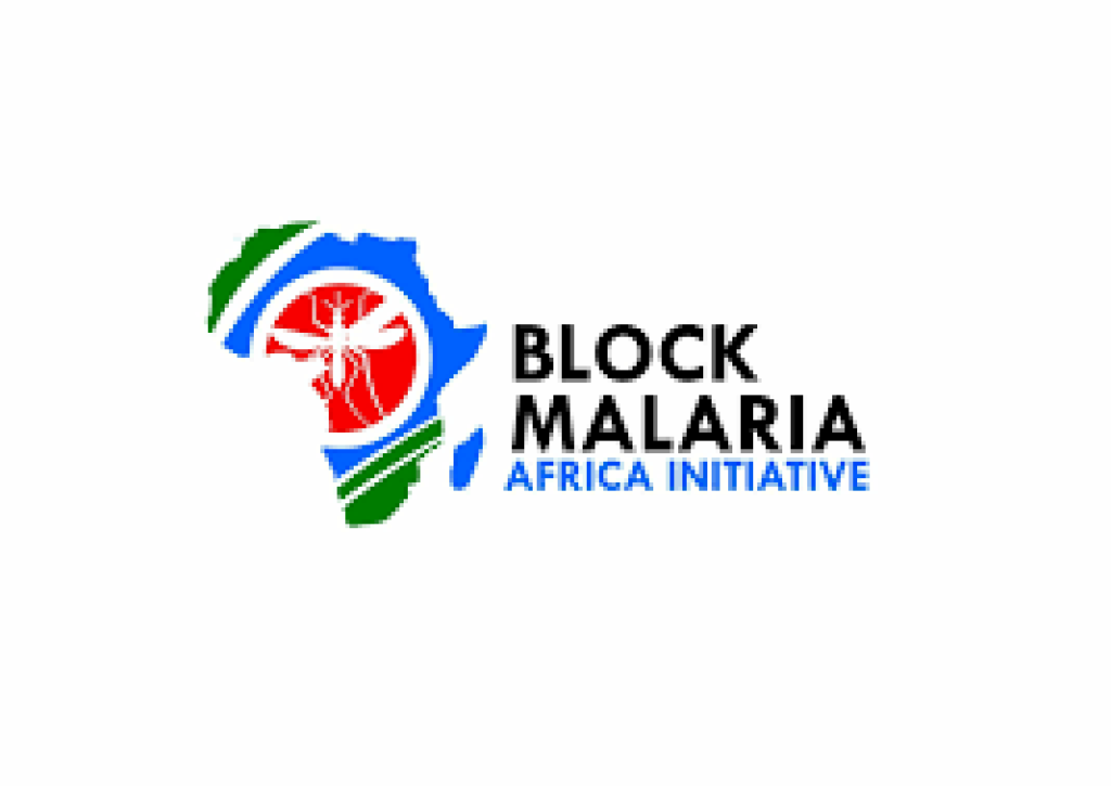 Take lead in fight against malaria, group urges African youths