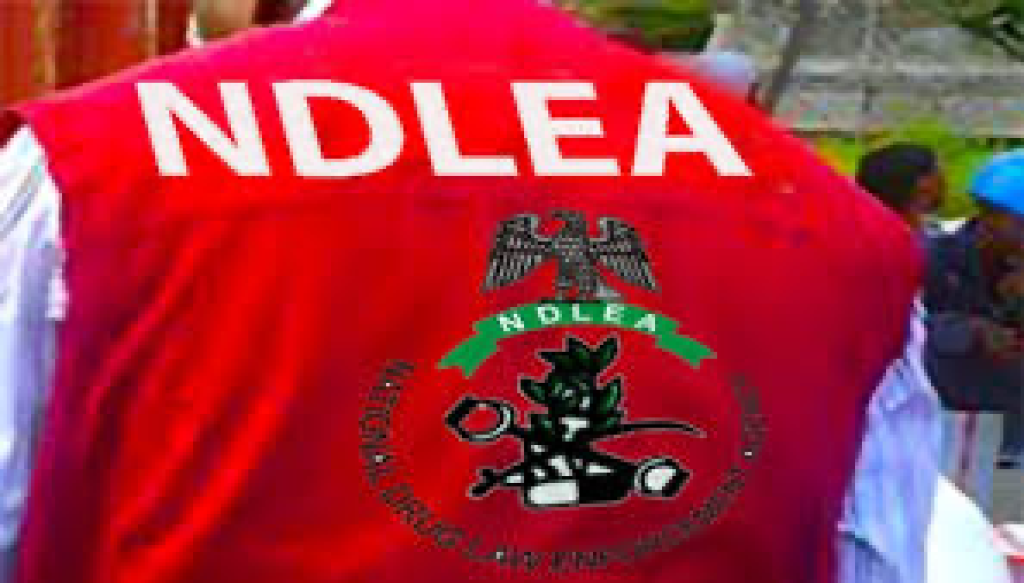 3 NDLEA officers shot during Abuja raid