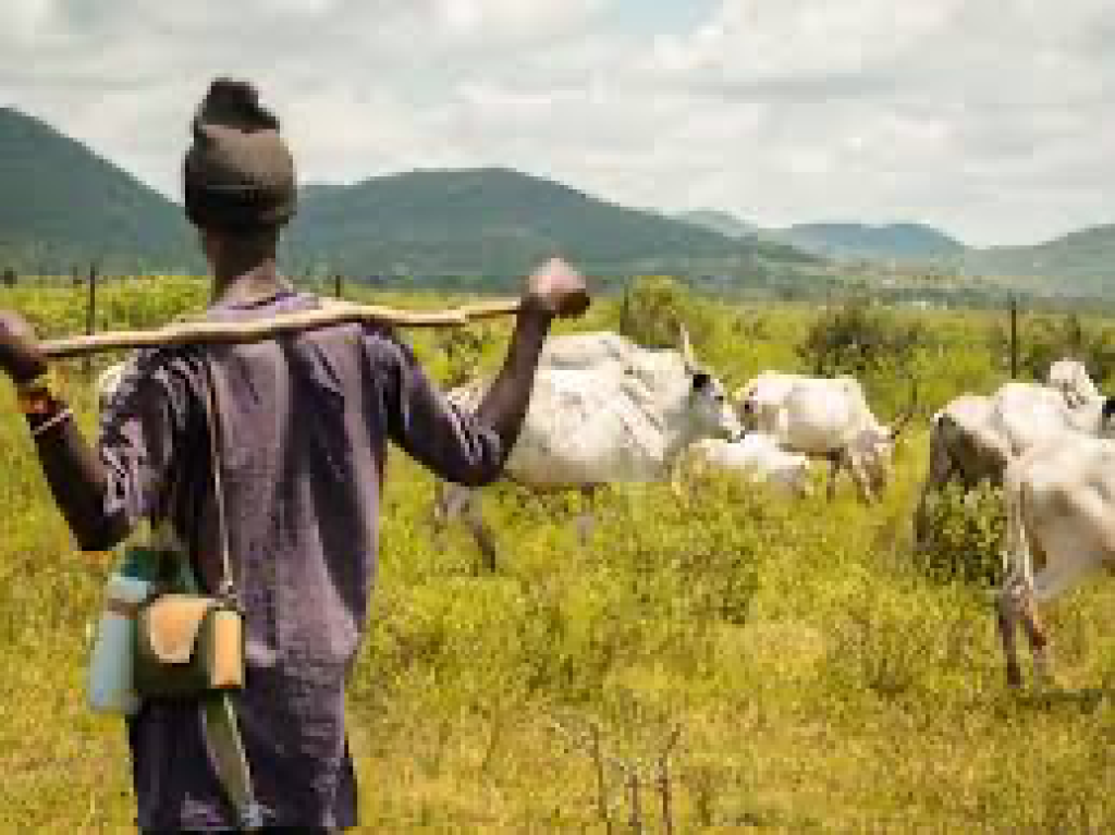 Easter: Suspected herders kills 17 in 2 LGAs in Benue-Police