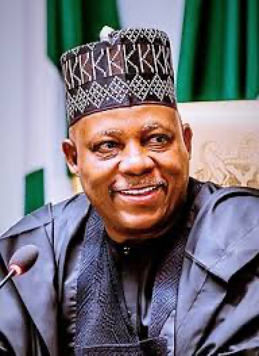 VP was never denied access to presidential villa – Spokesperson