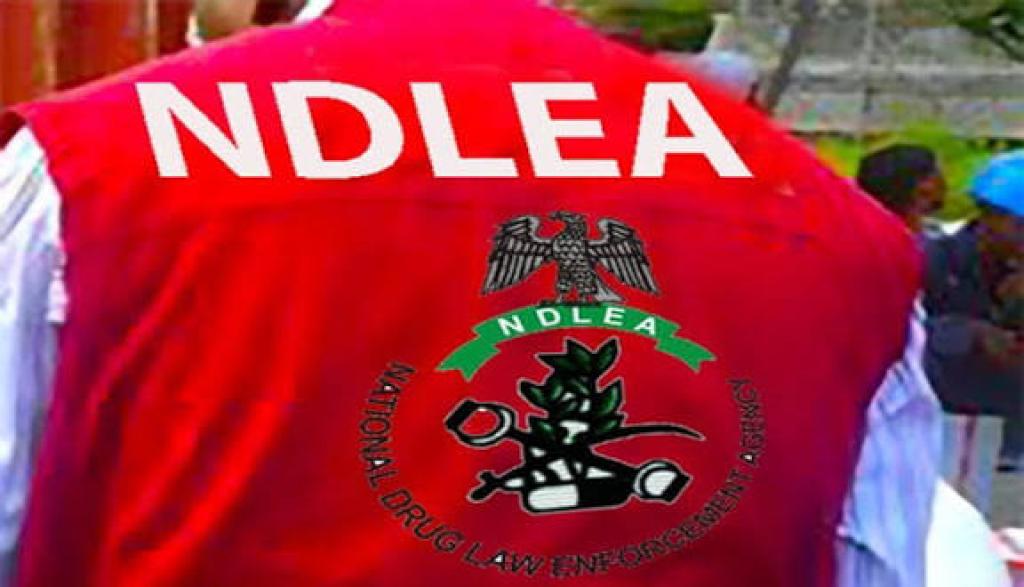 NDLEA arrests 17 suspects, seizes Illicit drugs in Kano raids