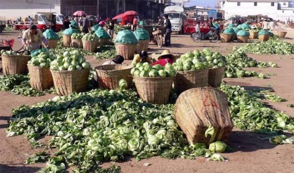 Post-harvest losses in fruits, vegetables in Nigeria hits 40% – Horticulturist