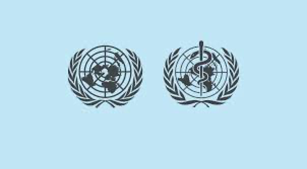 UN, WHO call for collective action on road safety