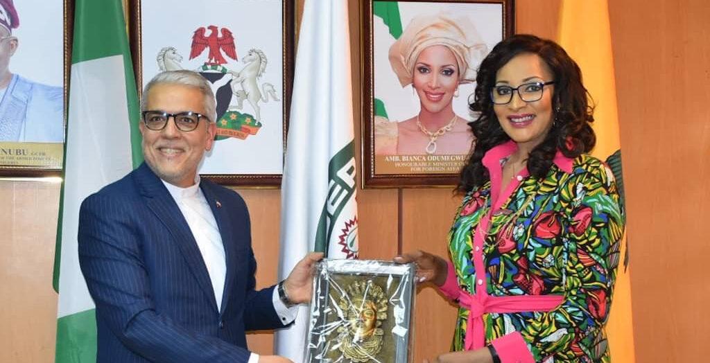 Nigeria commits to deepening relations with Iran