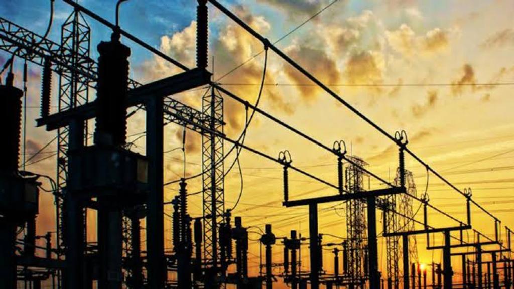 Electricity consumers seek review of power sector privitasation