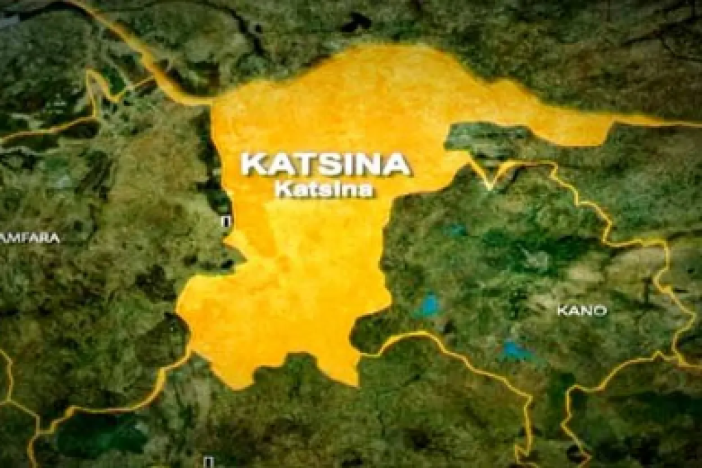 Katsina probes councillors, CDOs over financial mismanagement