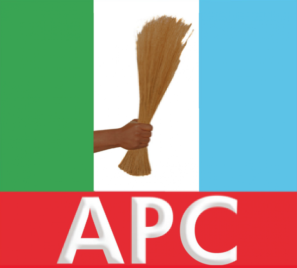 Nnaji’s resignation, testament of President Tinubu’s intolerance for corruption – APC chieftain