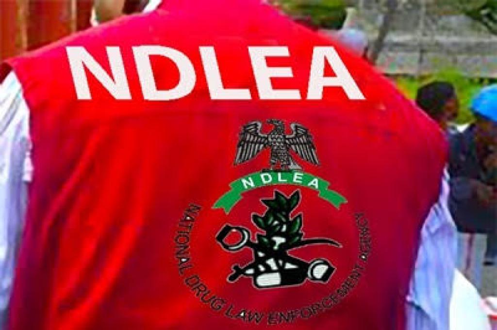 NDLEA intercepts illicit drugs in coffee sachets, detains 22 Indians