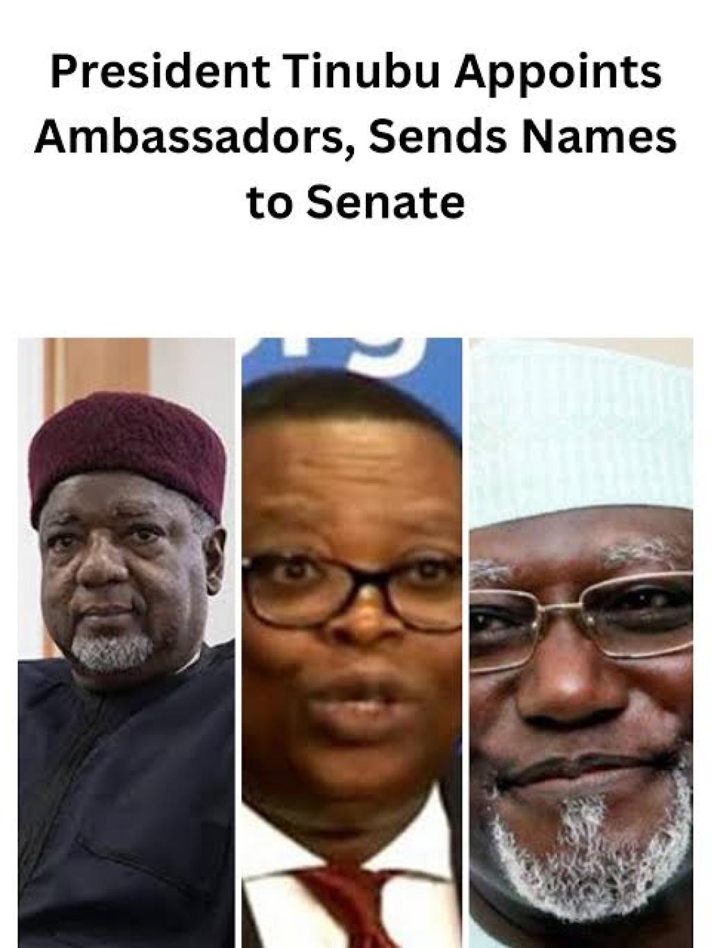 Tinubu sends 3 ambassador-nominees to senate for confirmation
